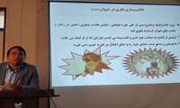 برگذاری کارگاه آموزشی بیماریهای آربو ویروس(تب دانگ،چیکونگونیا، زیکا) و هاری