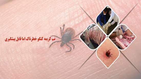 تب کنگو کریمه 